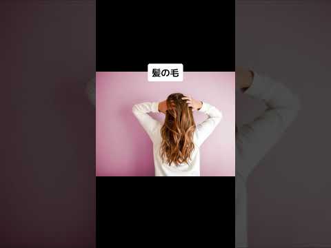 顕微鏡で見た本当の姿 #shorts #wisdom