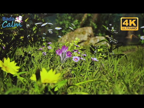 [4K] Relaxing Meditation for Kids | Float | Badanamu Calm