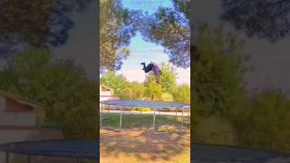 Funny Accidents II #youtubeshorts #viralshort #funnyaccidents