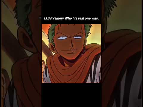 Zoro and Luffy: A  Friendship bond 💞 #onepiece #luffy #zoro #anime #shorts