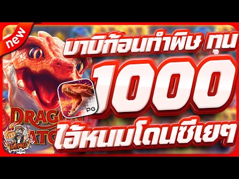 สล็อตpg สล็อตเว็บตรง สล็อตวอเลท สล็อตแตกดี | dragon hatch 2 + ทุน 1000