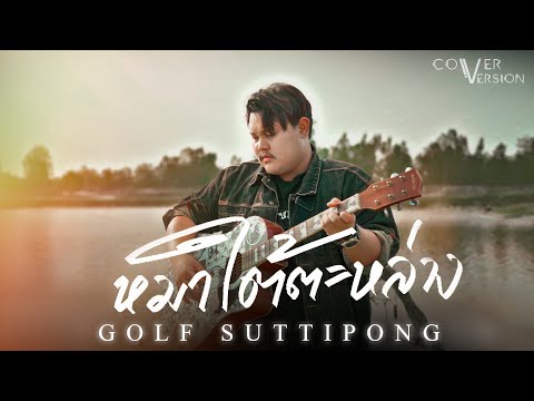 หมาใต้ตะหล่าง - กอล์ฟ สุทธิพงษ์【COVER VERSION】