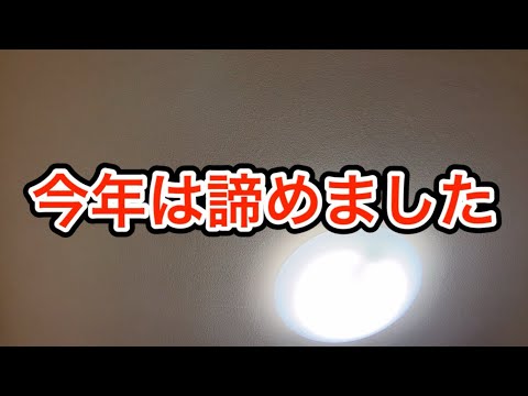 寝坊して課題出せなかったショックで今年は一旦諦めることにした大学生の1日