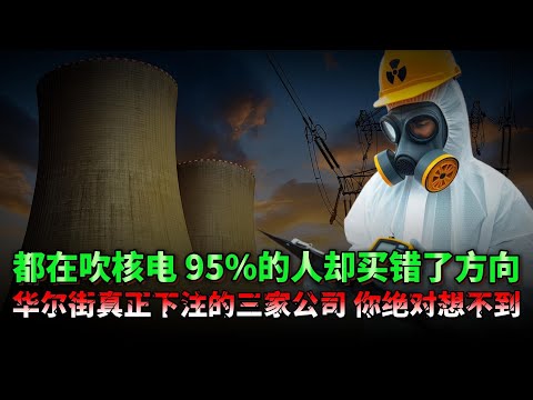 所有人都知道核电是下一个万亿级能源赛道，但95%的人都买错了标的，真正被华尔街偷偷押注的三家核电公司，你可能连名字都没听过。