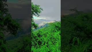 #naturalbeauty #india #shortvideo #viralshorts #iamgulsher #buget2024