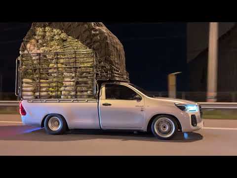 Transporting Vegetables with a Heavy-Duty Truck
