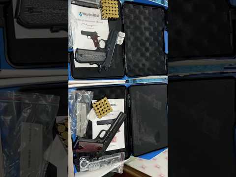 Malhotra Sons Defence 45 Bore pistol Guardian and Champion Limited edition pistol #pistolonly#weapon