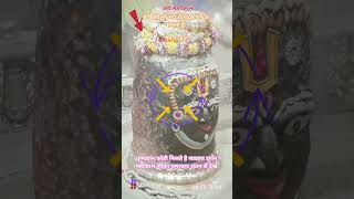 महाकाल जी के साक्षात दर्शन बोलो महाकाल की जय, एकादशी महापर्व #mahadev #bholenath #matarani #believe