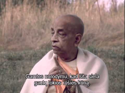 Prabhupada (LT)