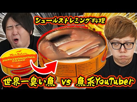 【世界一くさい魚 vs 魚系YouTuber】きまぐれクックならシュールストレミング美味しく料理してくれる説