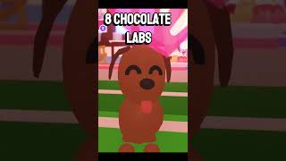 WHAT I GOT FROM HATCHING 100 RETIRED EGGS #foryou #adoptme