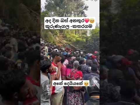 බස් අනතුර❤️🥺 #viralvideo #popular #new #automobile #vahicles #srilanka#news #fypage #bus#dhamrejini