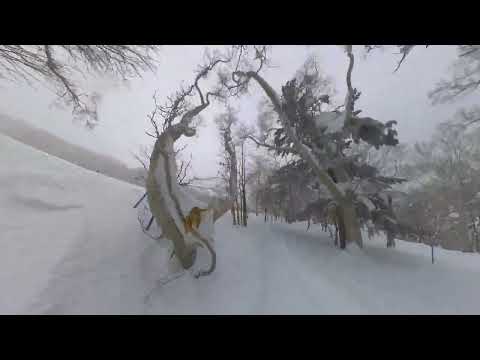 Rusustu Snowboarding Tree Run