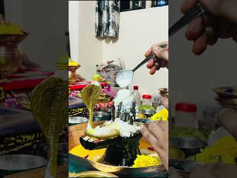 #festival #shivshiva #shivsong #harharshambhushivamahadeva #festival #varanasi #vairalvideo