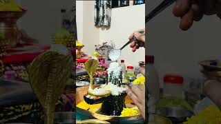 #festival #shivshiva #shivsong #harharshambhushivamahadeva #festival #varanasi #vairalvideo