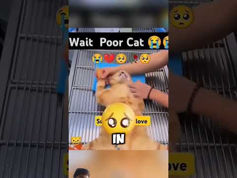 oh a man 😮😮😮🤫 #sad #man #face #shortvideo #shots #shorts