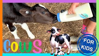 All about COWS FOR KIDS🐄. Fun Facts About Cows for Toddlers🐮 Educational Baby Cow Videos