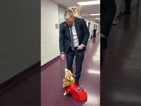 The #Gr8 meets Hammy and Maxine! #ALLCAPS