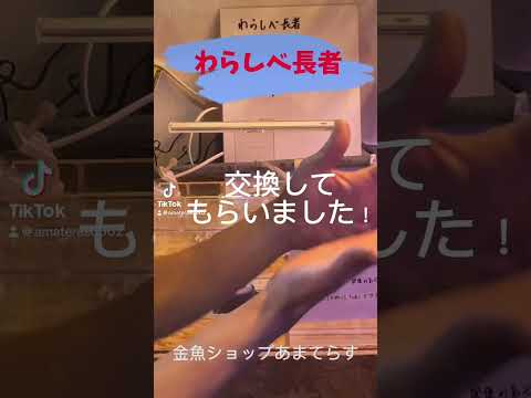 わらしべ長者やってます！交換希望の方是非コメント下さい！