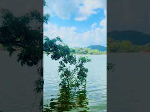 රන්තාලිය වැව ❤️😌🫡