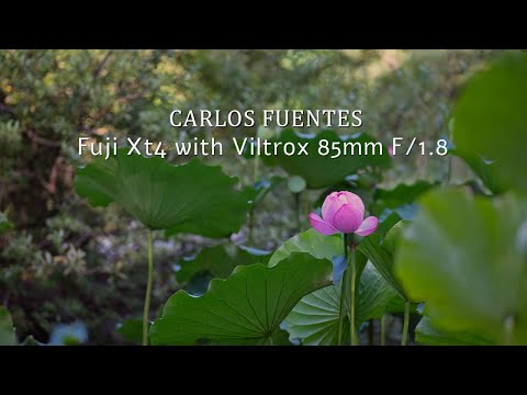 FujiXT4  & Viltrox 85mm F/1.8 test - 4K
