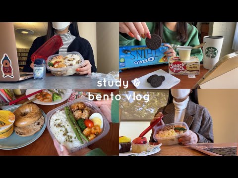 \study vlog/🍙自炊と勉強の両立を頑張る | lots of cooking and studying📓