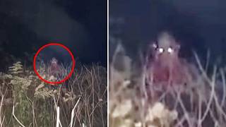 15 SCARY VIDEOS & Mysteries That Will Make You Question Everything