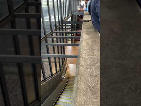 Taken by police at the Bart station