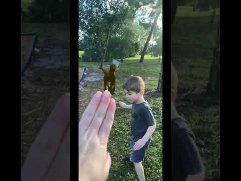 Velociraptor in the park!  #dinosaur #dino