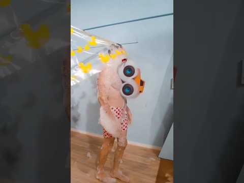 #shortvideo #viralvideo #machines #trendingshorts