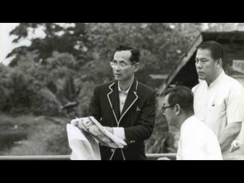 เพลง ตามพ่อเดิน