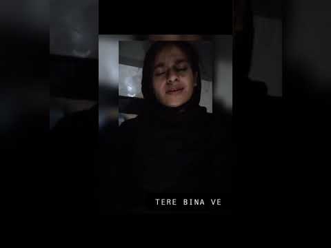 TERE BINA VE ||PUNJABI SONG|| COVER||