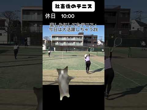 【社畜後のテニス】よくわかってないけど見よう見真似で作った猫ミーム#tennis #lpt #テニス #テニス好きな人と繋がりたい #猫ミーム #catmemes #ねこのいる暮らし