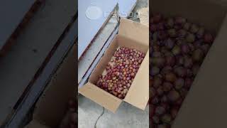 Fruit pitting machine for cherry, plum, apricot, olive and other products #fruitprocessing