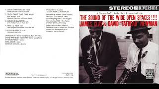 David "Fathead" Newman & James Clay - Wide open spaces