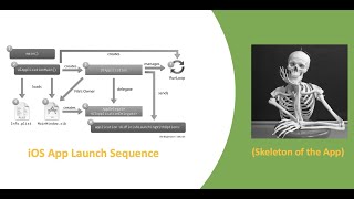 iOS App Launch Sequence (Skeleton of the App)
