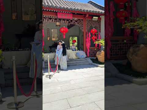 Ceremonia china de té 🫖 en Sydney