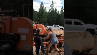 Lost my marbles! lol #shorts #woodmizer #sawmill