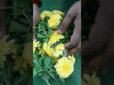 TulasiChamanthi Garland|#thulasi|#chamanthi|#Garland|#flower|#Fillthetummy|#ytshorts|#shortsvideo