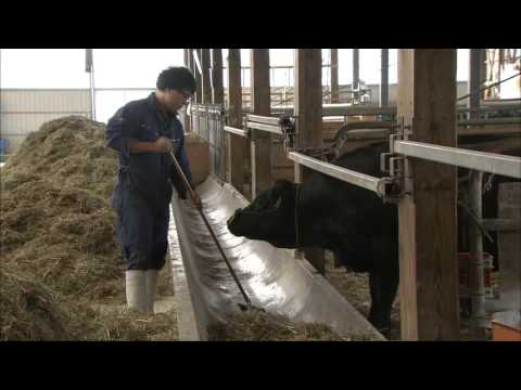 肉畜生産ステーション　酪農学園 フィールド教育研究センター紹介ビデオ（FEDREC）03