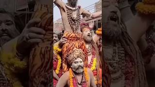 🔱Sacred Spirit of Naga Sadhus🔗Kumbh Mela Devotion#shorts#subscribe #viralshorts