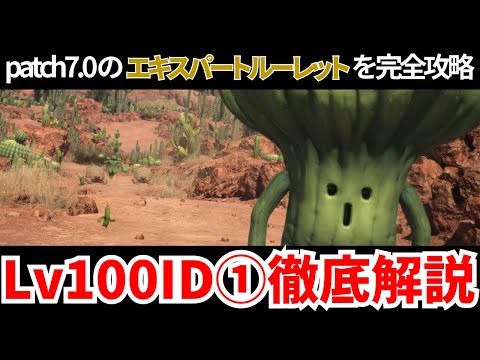 【黄金のレガシー】エキルレ対象Lv100IDその①ギミック解説【FF14】