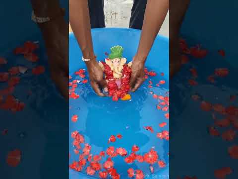 Ganpati visarjan 2023 😭😭 Ecofriendly ganpati visrjan at home 🙏#ganpati #ganpativisarjan #viralvideo