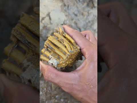 beautiful gold found in the river #goldhunter