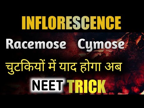 RACEMOSE CYMOSE INFLORESCENCE TRICK for NEET 2024 & 2025