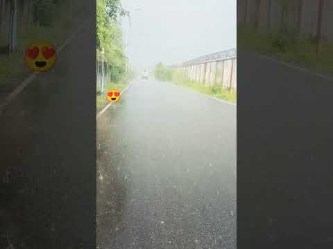 rain 😍 mood jolly #shorts #youtuber #trending #today #reels #tamil