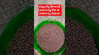 అప్పులన్నీ తీరాలంటే అమావాస్య రోజు ఇలా...|| #shorts #remedies  #tips #machirajukirankumar #amavasya