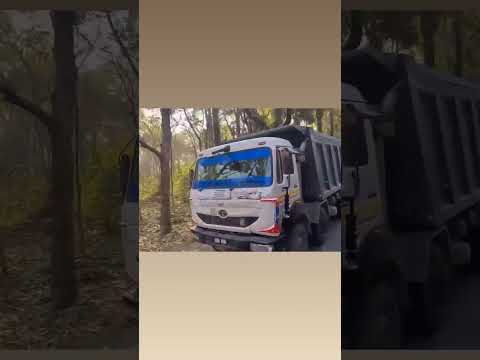 Tata lovers😍 #driving #viralshort #trucks #assam  #song#music #travel #views#trendingsong#travel