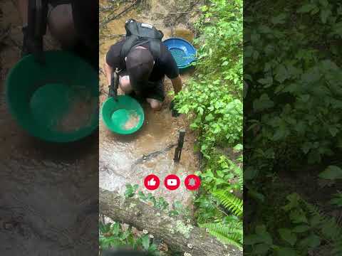 Panning my Secret Gold Deposit!