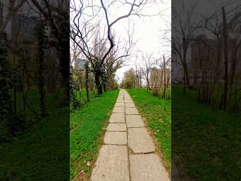 hello 🙋‍♂️ spring 👋 #relaxing #relaxingmusic #nature #meditationmusic #romania #insta360x4 #8k
